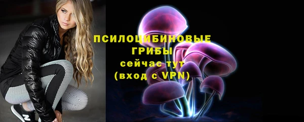 ГАЛЛЮЦИНОГЕННЫЕ ГРИБЫ Абинск