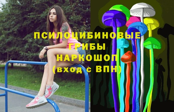 ГАЛЛЮЦИНОГЕННЫЕ ГРИБЫ Абинск