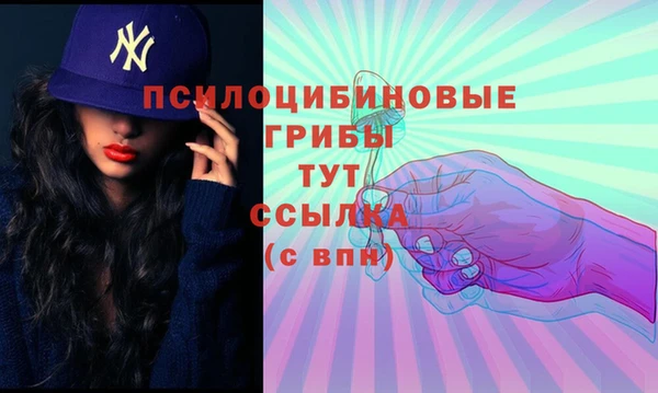 метамфетамин Ладушкин