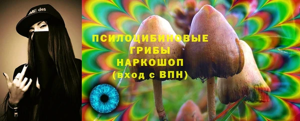ГАЛЛЮЦИНОГЕННЫЕ ГРИБЫ Абинск