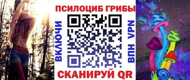 Псилоцибиновые грибы Magic Shrooms  купить наркотики сайты  блэк спрут tor  Дербент 